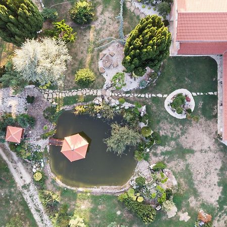 Villa Garden Zalaegerszeg Bagian luar foto