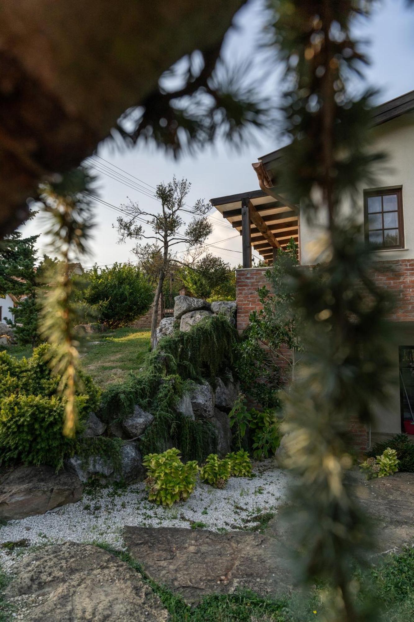 Villa Garden Zalaegerszeg Bagian luar foto
