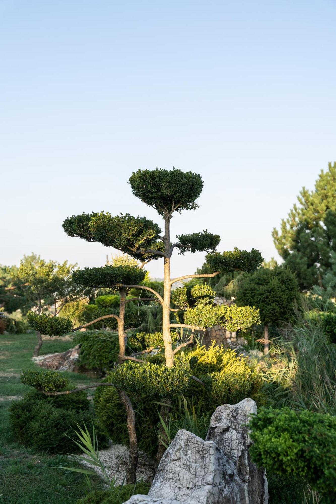 Villa Garden Zalaegerszeg Bagian luar foto