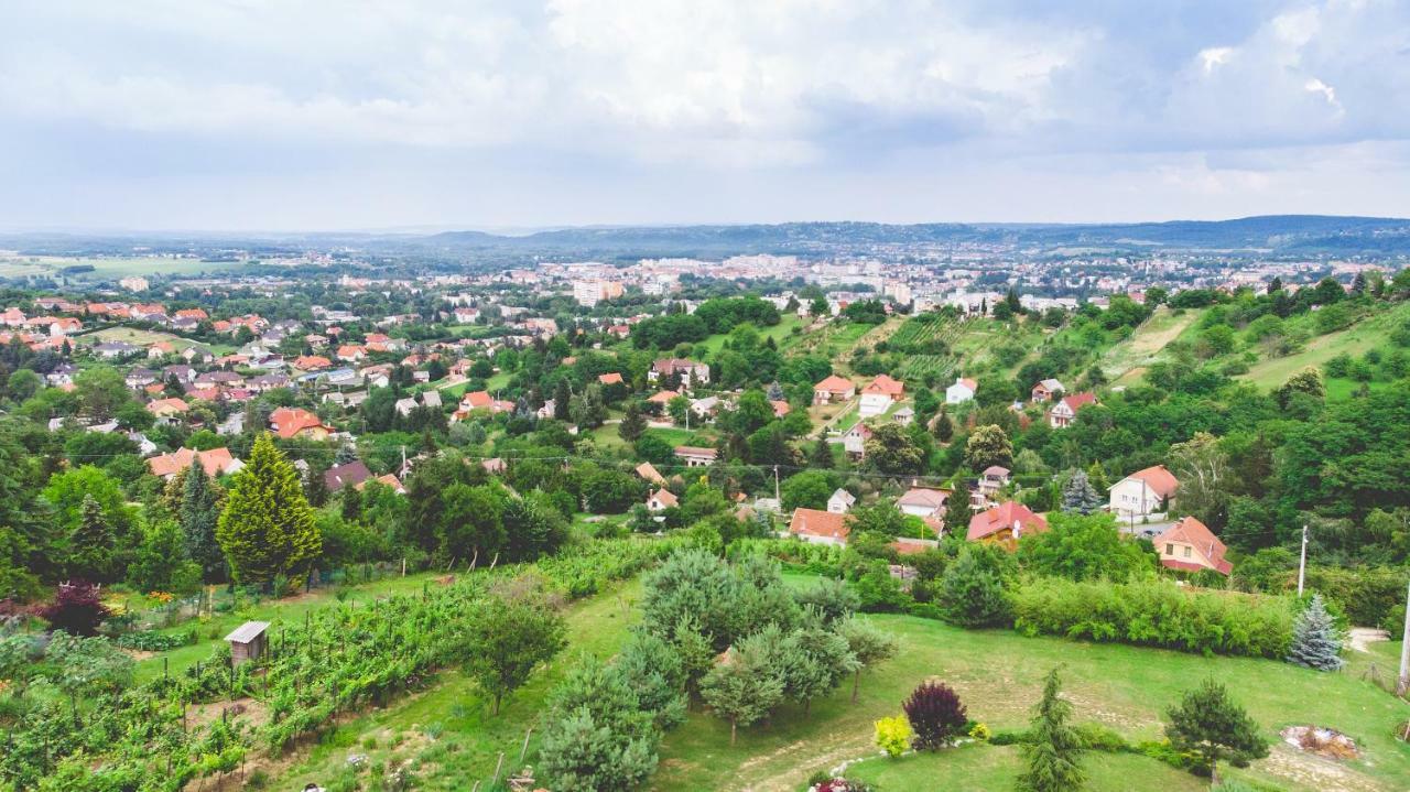 Villa Garden Zalaegerszeg Bagian luar foto