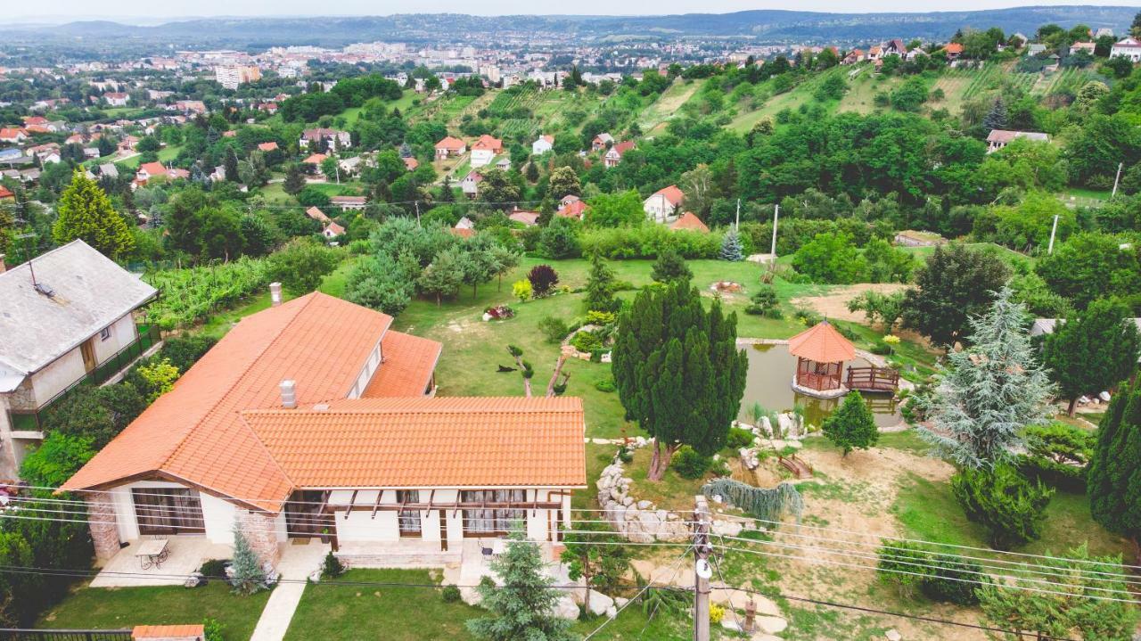 Villa Garden Zalaegerszeg Bagian luar foto
